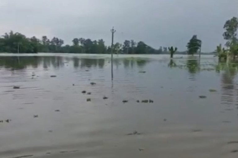 পটাশপুর-সহ জেলা জুড়ে বন্যা পরিস্থিতি,সতর্ক রয়েছে প্রশাসন