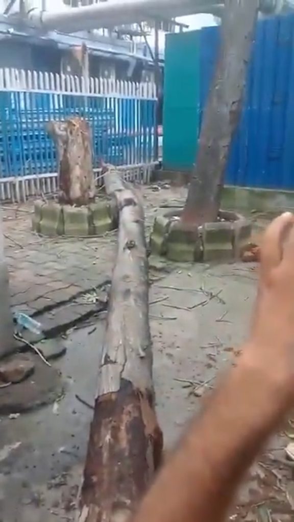এসএসকেএম হাসপাতালে গাছ পড়ে মহিলার মৃত্যু !
