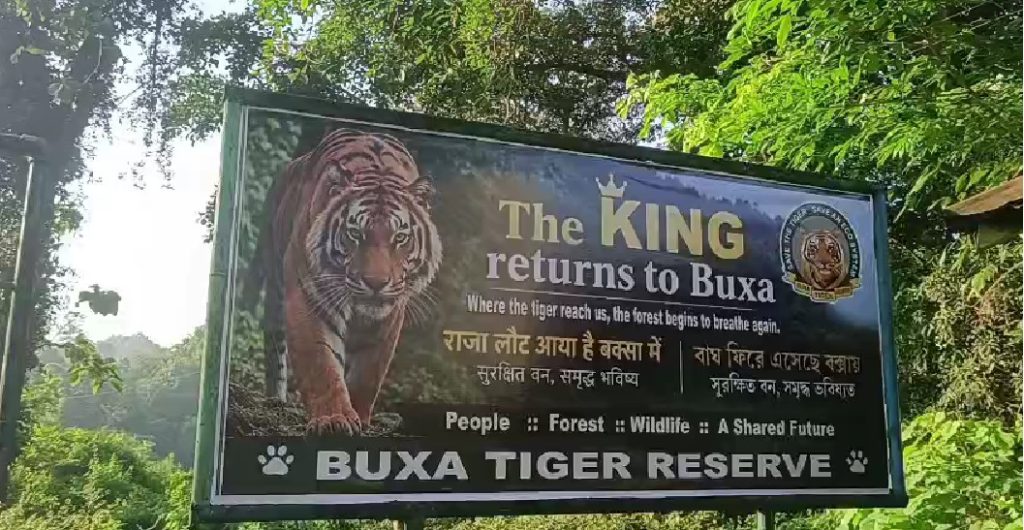 বিহার থেকে বক্সায় এল বাঘিনি, ‘King is Back to Buxa’ হোর্ডিংয়ে জানানো হল স্বাগত!
