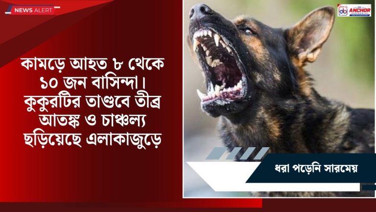 একের পর এক কামড়, পাগলা কুকুরের তাণ্ডবে আতঙ্ক হবিবপুরে