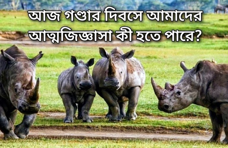 আজ ‘গণ্ডার দিবস’এ প্রশ্ন: আমরা কি ইয়োনেস্কোর নাটকের চরিত্র?