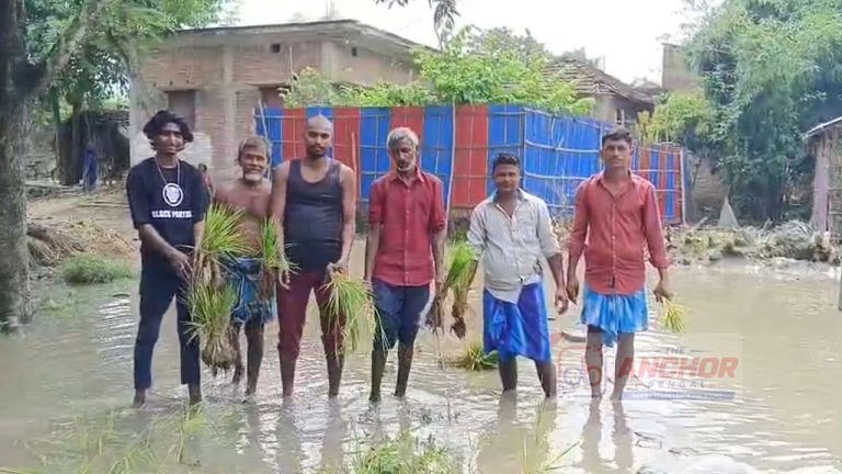 বেহাল রাস্তা, ধানের চারা রোপণ করে প্রতিবাদ মালদহে