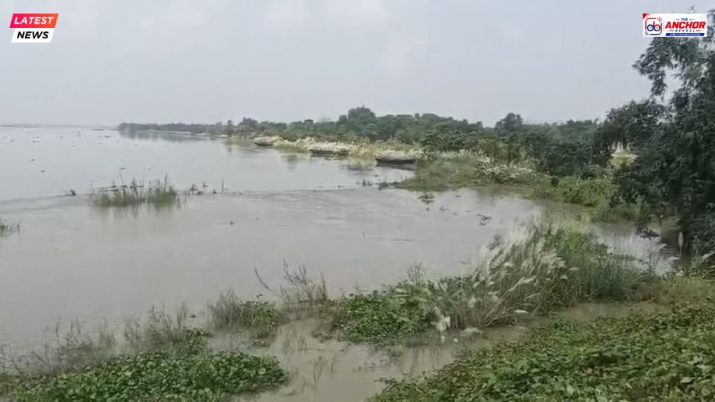 শুরু হয়েছে গঙ্গা ভাঙন, আতঙ্কে শান্তিপুর