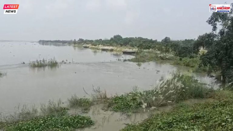 শুরু হয়েছে গঙ্গা ভাঙন, আতঙ্কে শান্তিপুর