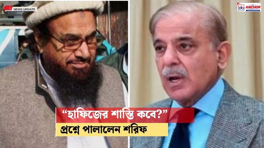 হাফিজ প্রসঙ্গে রাষ্ট্রপুঞ্জে সাংবাদিকদের এড়ালেন শরিফ
