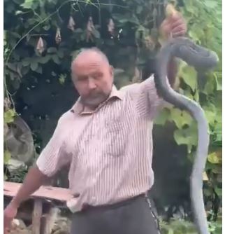 কিং কোবরা নিয়ে কেরামতি, ছোবলে মৃত বৃদ্ধ