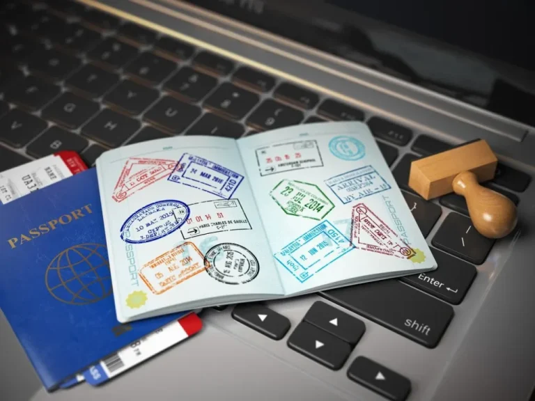 Indian Passport and Visa
