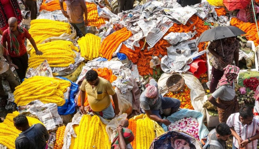 পুজোর মরশুমে রঙিন ও জমজমাট হাওড়ার ফুলবাজার, পদ্মের দাম আকাশছোঁয়া