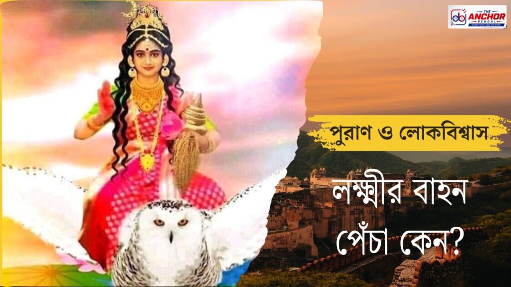 লক্ষ্মীর বাহন পেঁচা কেন? কী বলছে শাস্ত্র, পুরাণ ও লোকবিশ্বাস