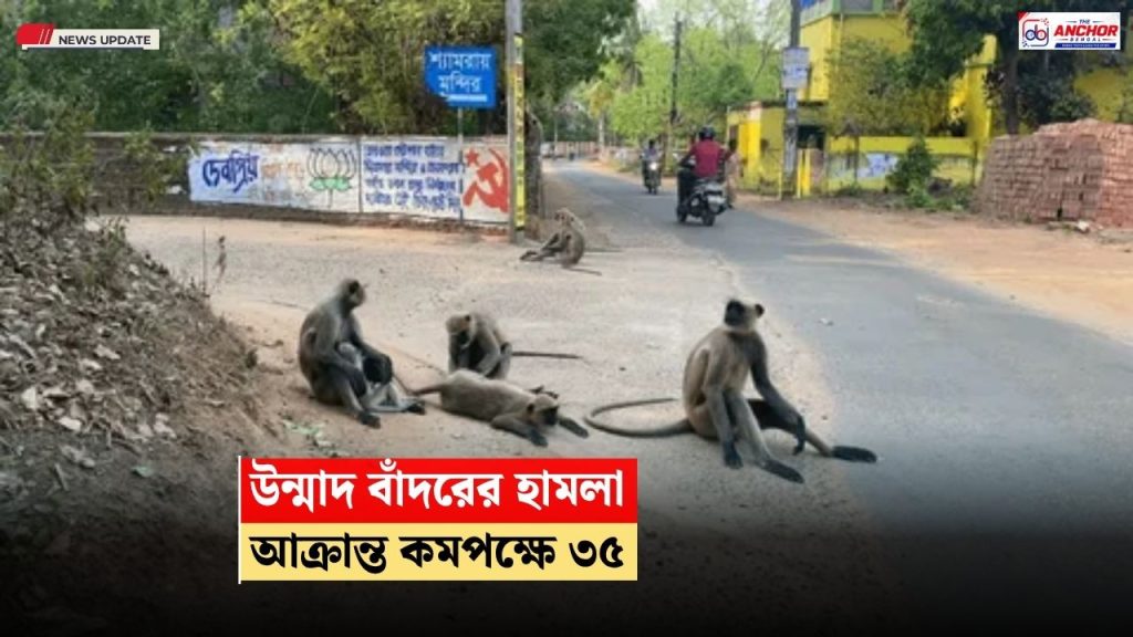 উন্মাদ বাঁদরের কামড়ে আহত কমপক্ষে ৩৫ জন, আতঙ্কে এলাকাবাসী