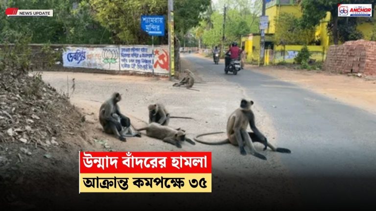 উন্মাদ বাঁদরের কামড়ে আহত কমপক্ষে ৩৫ জন, আতঙ্কে এলাকাবাসী