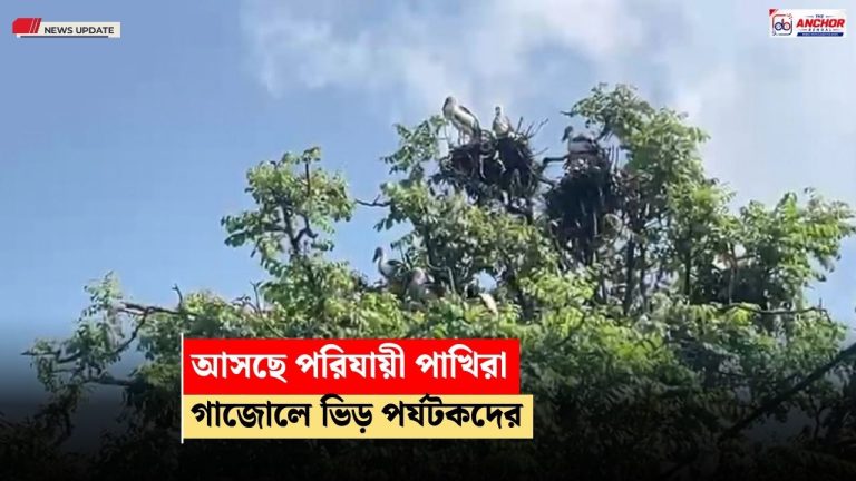 আসছে পরিযায়ী পাখিরা, গাজোলের আদিনা ফরেস্টে ভিড় পর্যটকদের
