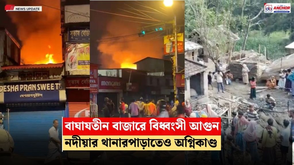 মহানবমীর ভোরে বাঘাযতীনে ভয়াবহ অগ্নিকাণ্ড, পু়ড়ে গেল একাধিক দোকান