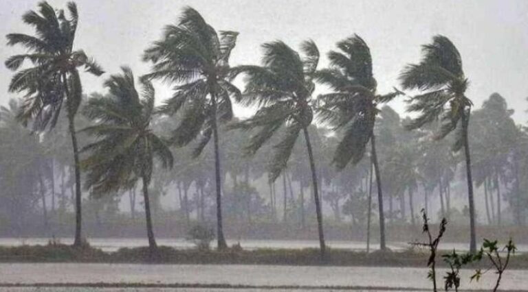 তামিলনাড়ুতে ভারী বৃষ্টি অব্যাহত, তিন জেলায় স্কুল-কলেজ বন্ধ ঘোষণা প্রশাসনের